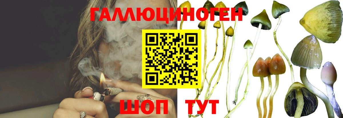 Галлюциногенные грибы Magic Shrooms Орёл
